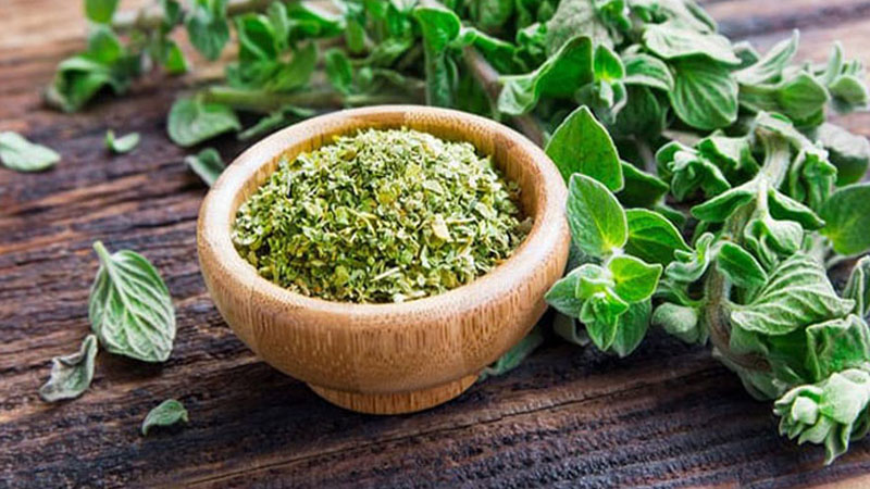 Lá Oregano là gì? Công dụng và cách sử dụng lá Oregano