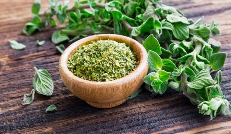 Mua lá Oregano ở đâu ở TP.HCM và Hà Nội?