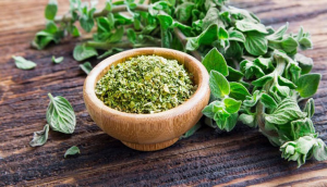 Lá Oregano tươi và khô loại nào tốt hơn?