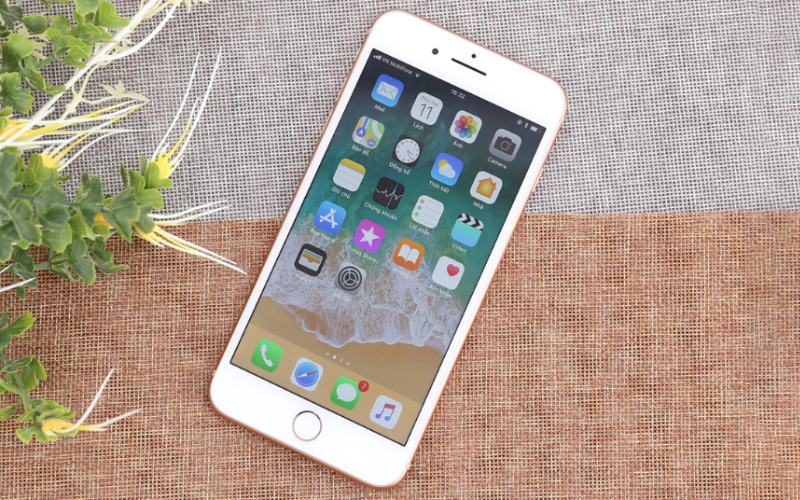 Liệu iPhone SE Plus sẽ có thiết kế giổng iPhone 8 Plus? Liệu iPhone SE Plus sẽ có thiết kế giổng iPhone 8 Plus?