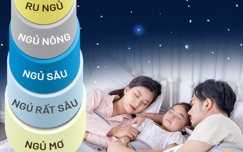 Những giai đoạn của giấc ngủ