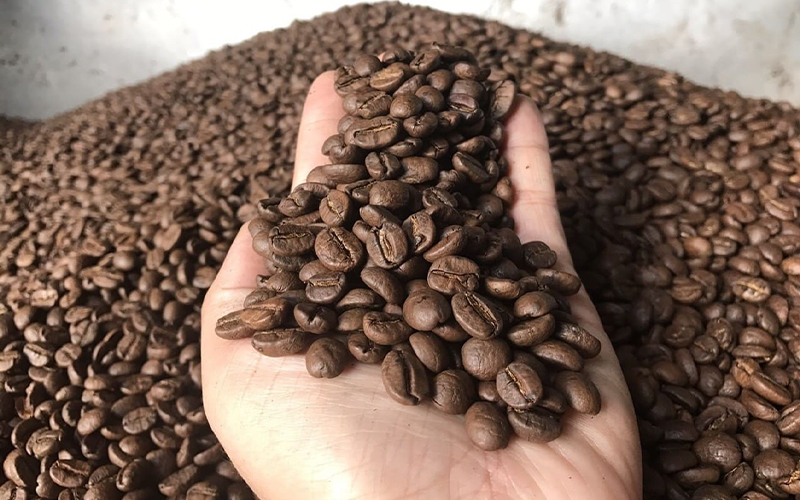 Cà phê Robusta và cafe Arabica là gì? So sánh loại nào ngon