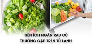 Tiện ích ngăn rau củ thường gặp trên tủ lạnh