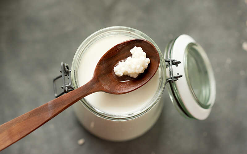 Nấm sữa Kefir: Phân biệt và nuôi nấm Kefir cho sức khỏe