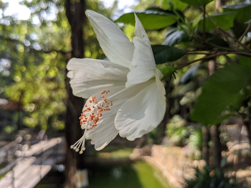 Cach-cai-Google-Camera-8-0-moi-nhat