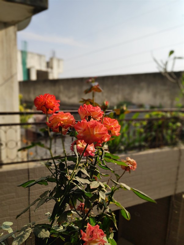 Cach-cai-Google-Camera-8-0-moi-nhat