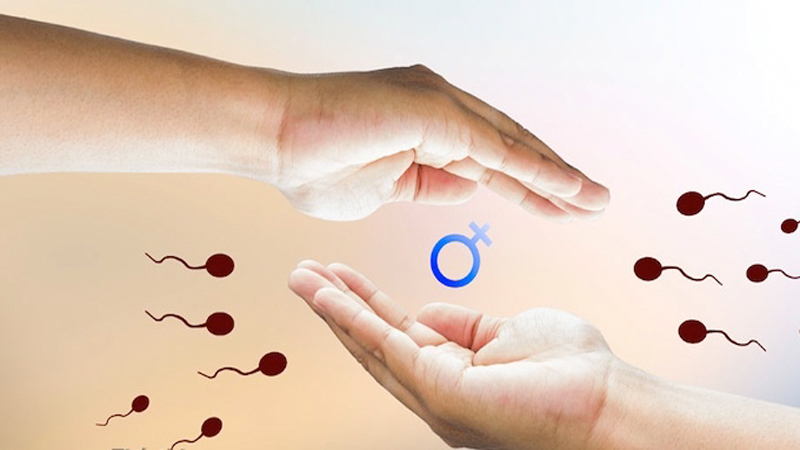 kỷ tử là vị thuốc tốt đối với sinh lý nam giới.