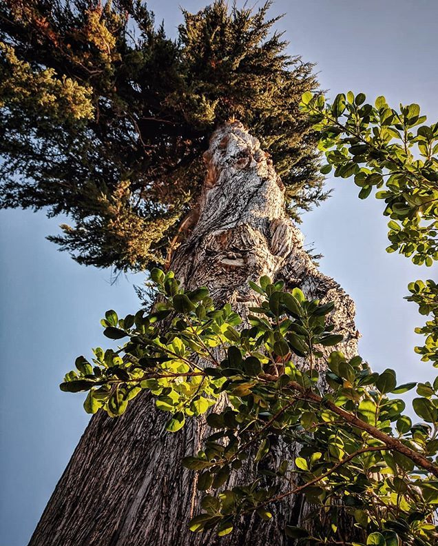 Cach-tai-Google-Camera-Go-v-1-9-3-moi Cach-tai-Google-Camera-Go-v-1-9-3-moi