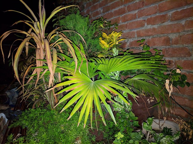 Cach-tai-Google-Camera-Go-v-1-9-3-moi Cach-tai-Google-Camera-Go-v-1-9-3-moi