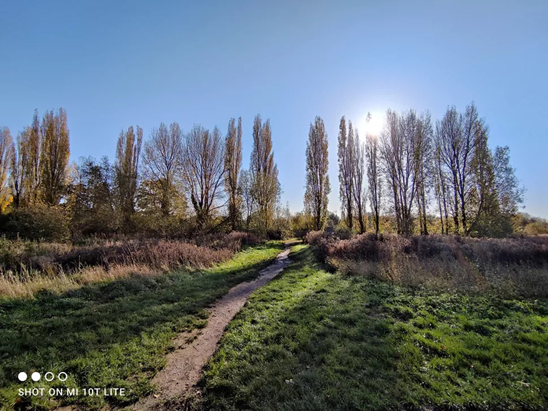 Ảnh chụp từ camera chính của Mi 10T Lite cho bức ảnh khá đẹp mắt