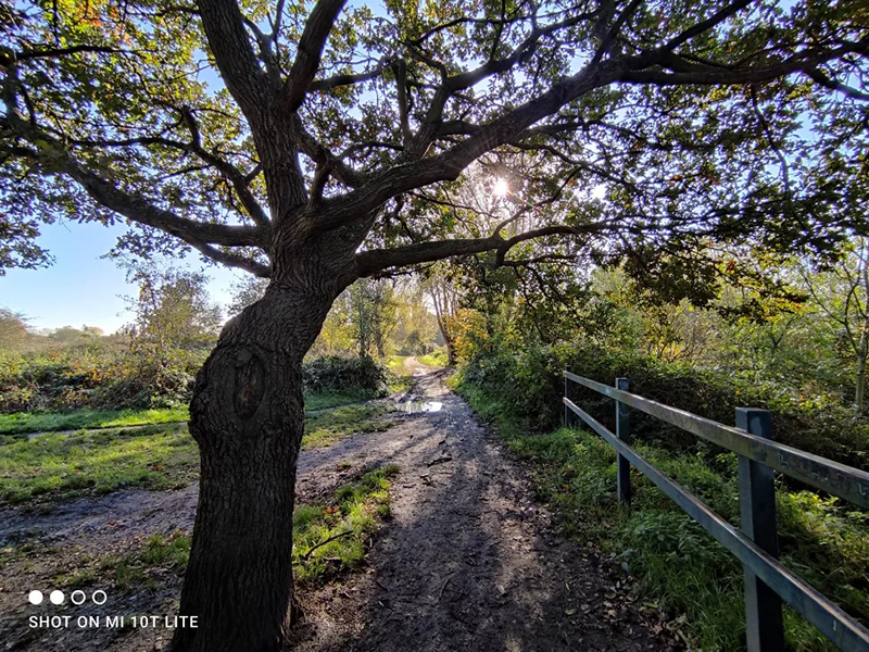 Tông màu của ảnh chụp bởi camera góc siêu rộng khá tương đồng với camera chính