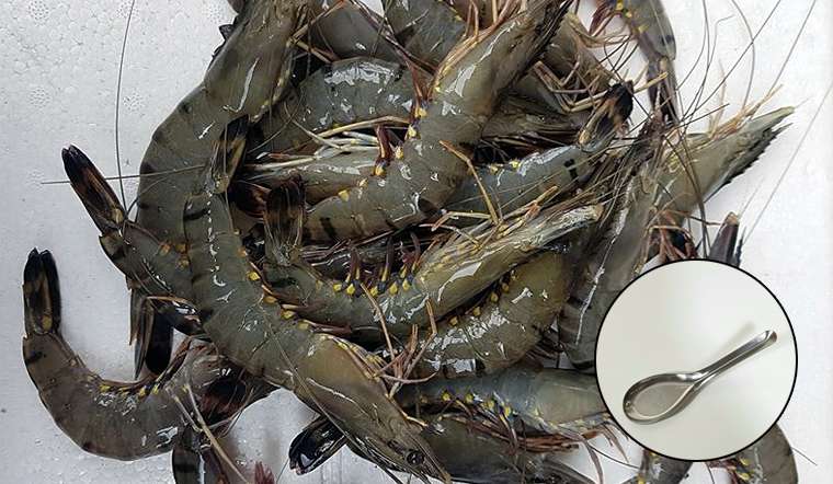 Cô gái trẻ chia sẻ bí quyết làm sạch cả trăm con tôm chỉ với 1 chiếc muỗng