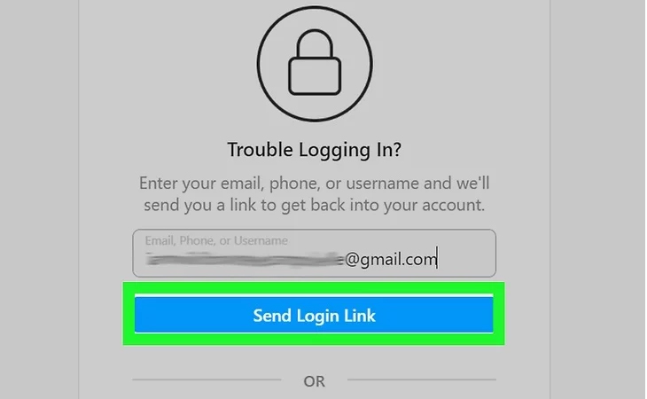 Nhấn vào nút Send Login Link (Gửi đường dẫn đăng nhập)