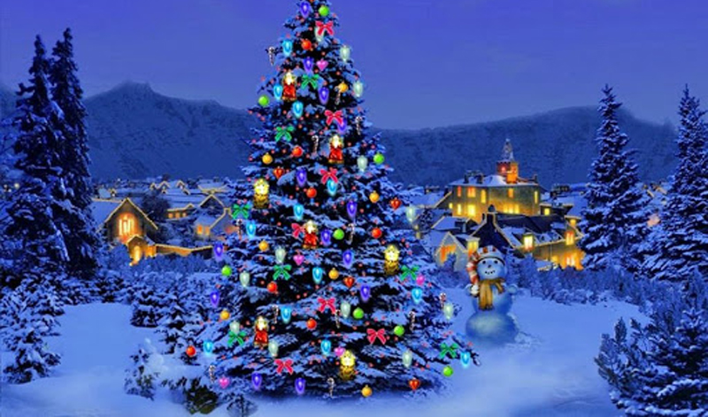 Thông thường cây Giáng sinh là một cây thường xanh, ví dụ cây thông, được trang trí thêm bằng cây nhựa ruồi