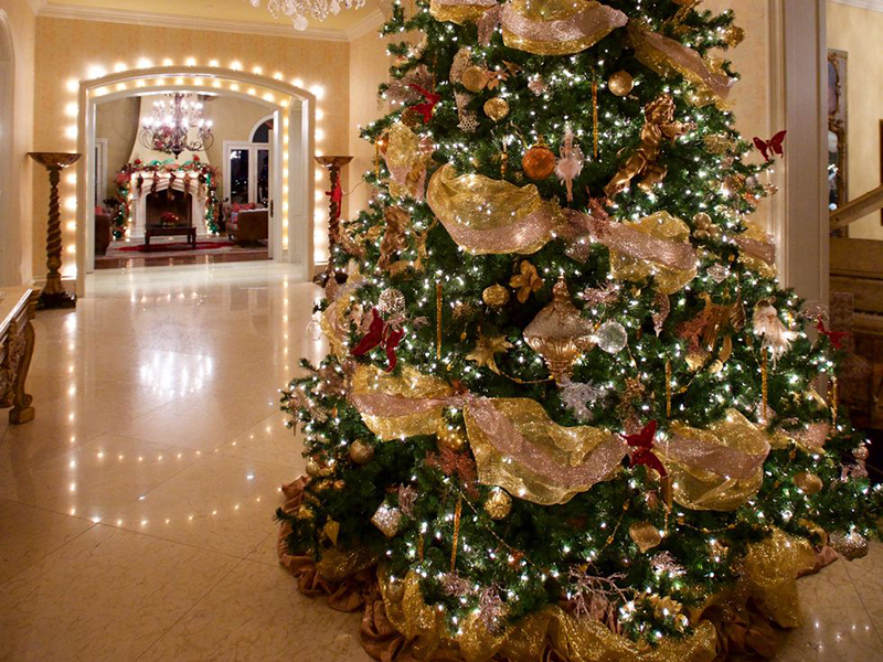 Chúng tôi khuyên bạn nên ghé thăm trang trí cây thông Noel của chúng tôi để tận hưởng không khí Noel tuyệt vời nhất. Với những mẫu cây thông siêu đẹp và độc đáo cùng những đồ trang trí đầy ấn tượng, bạn sẽ không còn phải lo lắng về việc trang trí cho gia đình mình nữa.