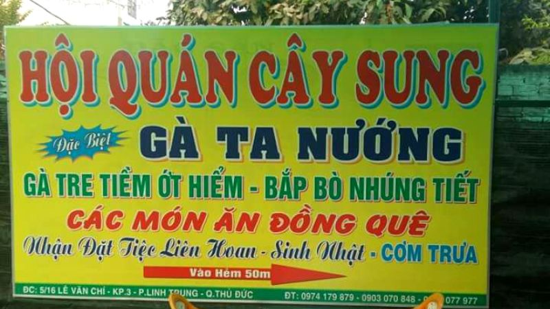 Quán Cây Sung