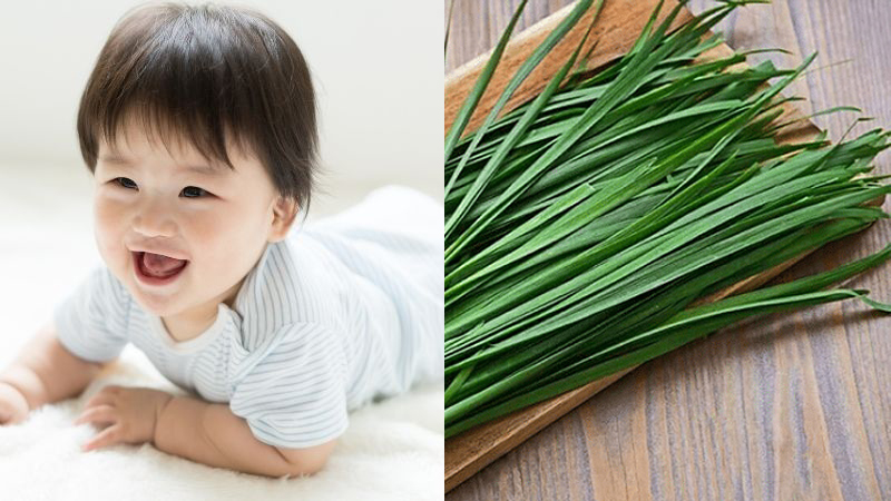 Vì sao lá hẹ lại có thể giúp bé hạ sốt Vì sao lá hẹ lại có thể giúp bé hạ sốt