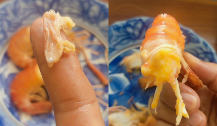 Bạn có chắc rằng bạn phân biệt được đâu là gạch, đâu là chất thải tôm?