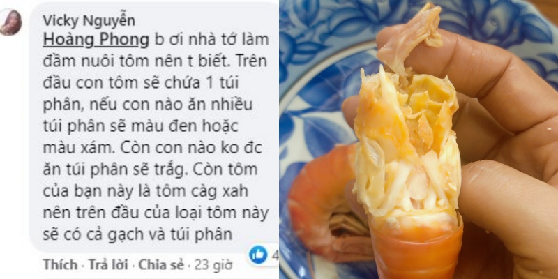 Chia sẻ của chị Vicky Nguyễn về phân biệt túi chứa chất thải ở tôm tự nhiên và tôm nuôi