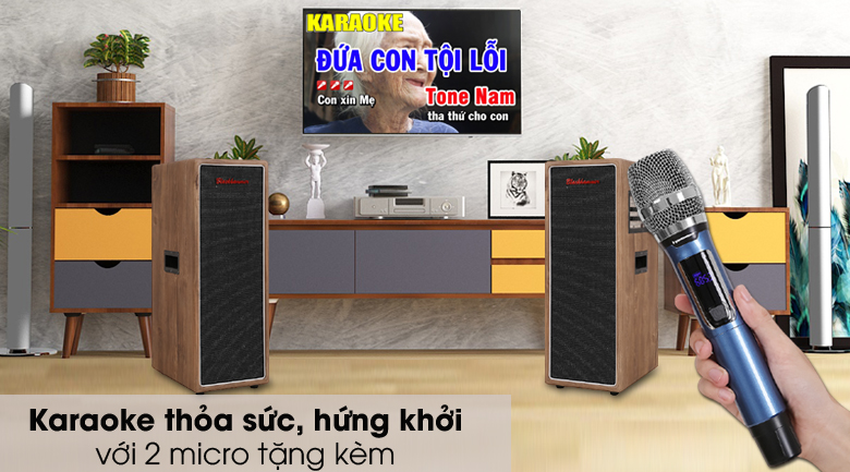 Tặng kèm 2 micro không dây chuyên dụng
