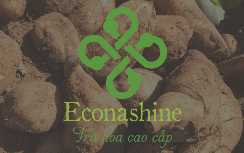 Econashine