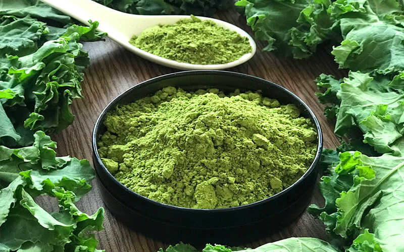 Bột cải kale là gì? Lợi ích khi sử dụng bột cải kale