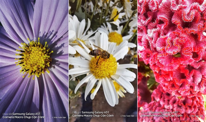 Hình chụp sáng tạo từ Galaxy A51