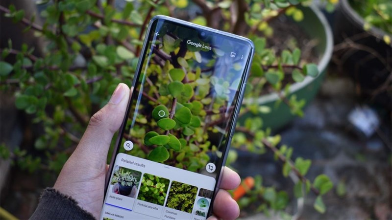 Sử dụng Google bao lâu nay nhưng có thể bạn chưa biết Google có những tiện ích ẩn siêu tiện lợi này