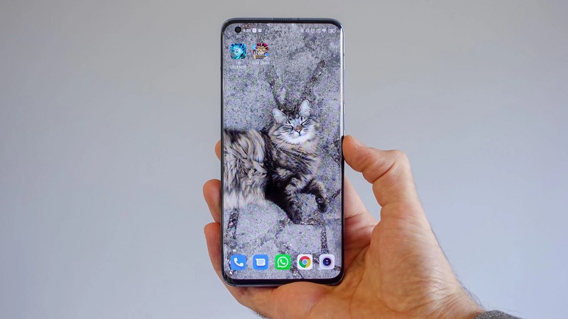 Thiết kế mặt trước Xiaomi Mi 11 lộ diện thông qua miếng dán bảo vệ: Xác nhận có màn hình đục lỗ, cong ở hai cạnh