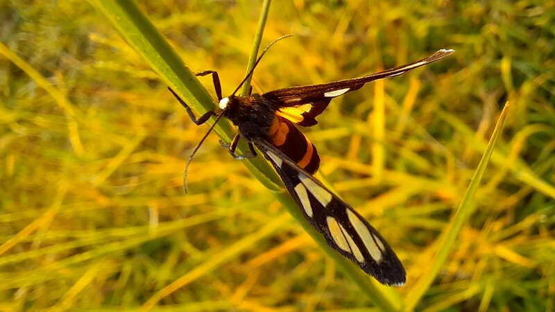 Tư vấn mua sắm cuối năm: Samsung Galaxy A02s với thiết kế mỏng nhẹ, sở hữu viên pin 5.000 mAh, giá chỉ hơn 3 triệu đồng