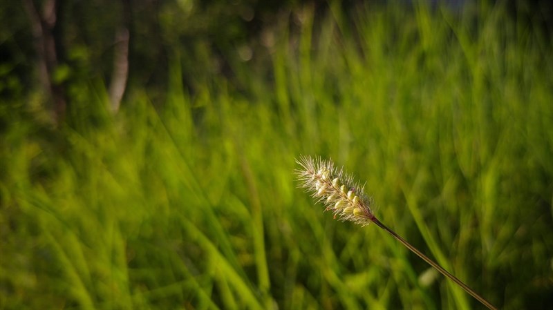 Cach-tai-Google-Camera-8-1-moi-nhat