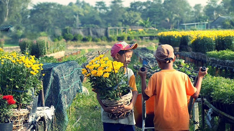 Vườn hoa phường Thới An, quận 12