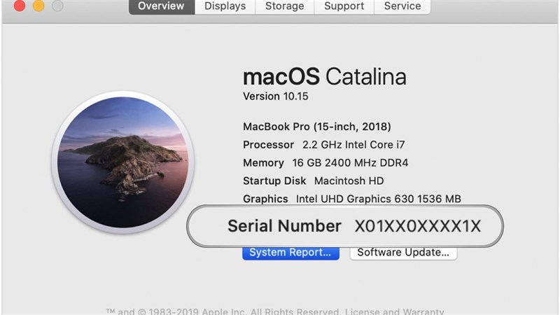 how to check macbook system storage