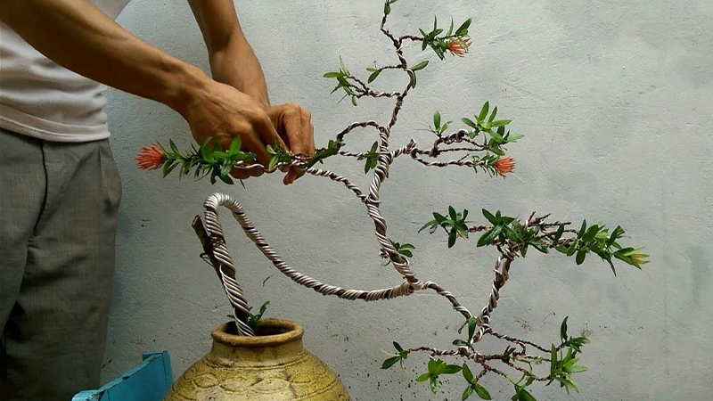 Tổng hợp những mẫu cây bonsai Tết đẹp nhất 2024