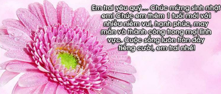 Lời chúc sinh nhật em trai