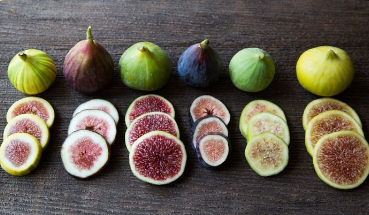 Ăn quả sung có tốt không? Những tác dụng phụ của quả sung Ăn Quả Sung Có Tốt Không? Những Tác Dụng Phụ Của Quả Sung