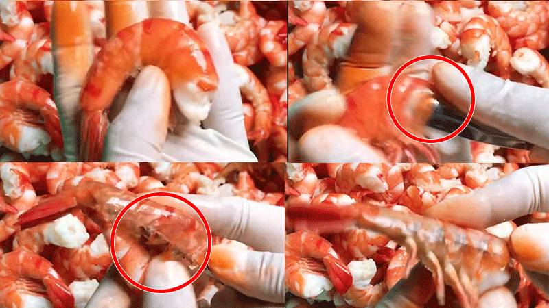 Cách bóc vỏ tôm luộc bằng thìa Cách bóc vỏ tôm luộc bằng thìa