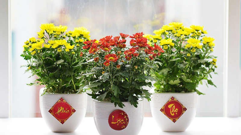Trang trí nhà cửa ngày Tết với hoa tươi