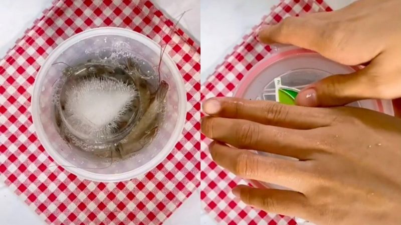 Preserving shrimp with ice