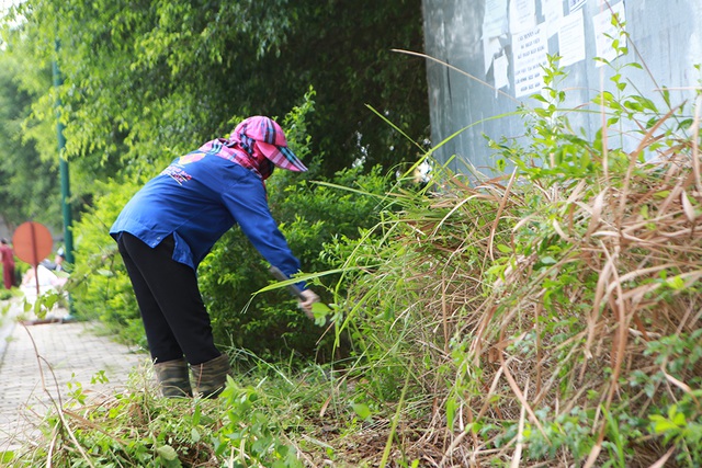 Clean grass and bushes around the house