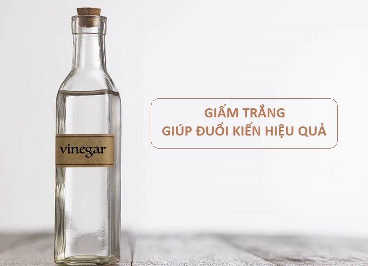 Sử dụng giấm trắng