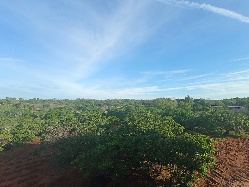 ảnh chụp góc rộng ảnh chụp góc rộng