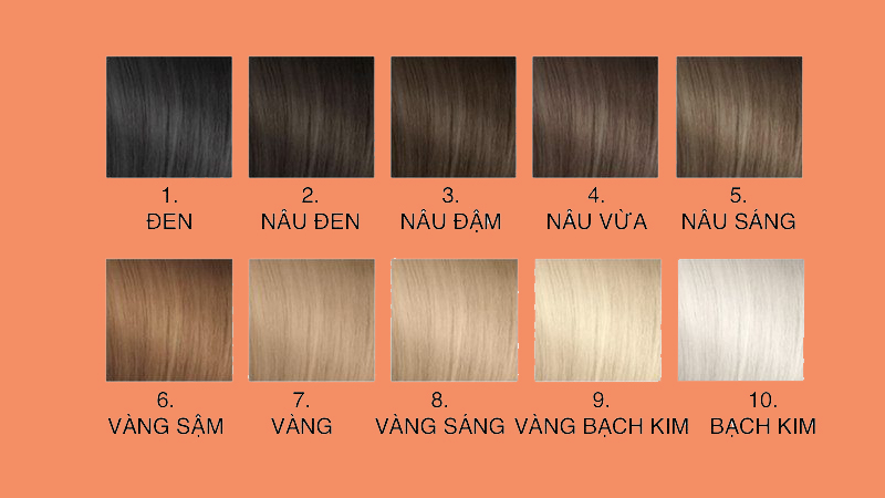 Bảng màu 03 (Sỉ thuốc nhuộm tóc, tặng oxy, lên đơn từ 10 sp, dành cho  salon) | Shopee Việt Nam