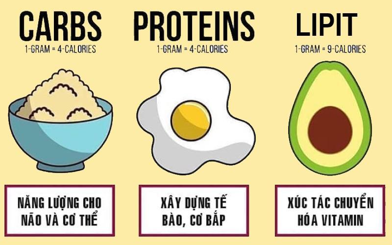 Carbohydrate là gì và carbohydrate trong loại thực phẩm nào là tốt?