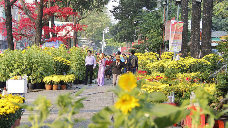 Chợ hoa Tết công viên Gia Định, công viên 23/09 và công viên Lê Văn Tám