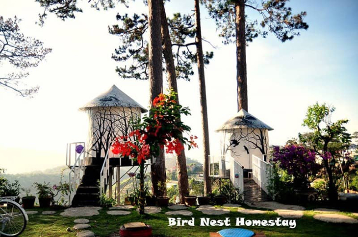 Bird's Nest Homestay