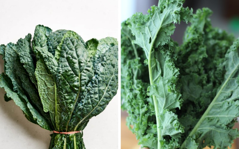 Trẻ mấy tuổi thì ăn được cải kale? 9 món ăn từ cải kale cho bé