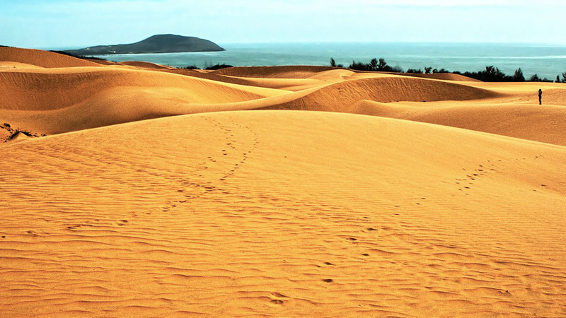 Đồi Cát Bay