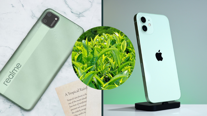 Matcha Bột Trà Xanh Thái Nguyên