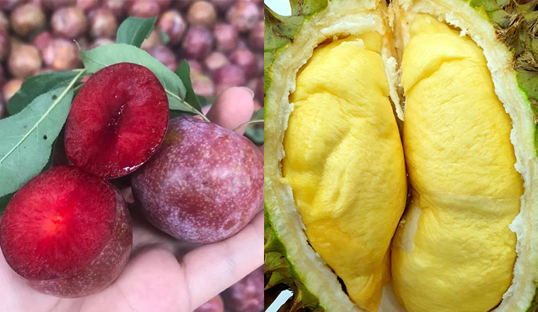 Mụn rất "thích" khi bạn ăn những loại quả này, kiêng ngay để có làn da đẹp đón tết